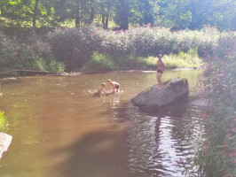 Planschen am Tischstein in der Waldnaab